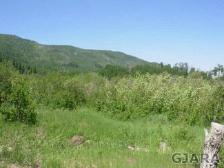 TBD Powderhorn W Unit 43, Mesa, CO 81643
