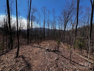 0 Rocky Face Dr Unit RF-1 / D-19, Canton, NC 28716