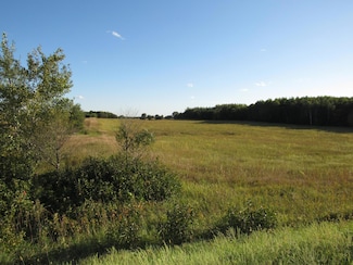 TBD 12th Parcel 8 St SW, Pine River Township, MN 56435