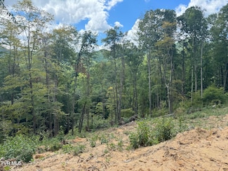 221 Shell Creek Rd, Roan Mountain, TN 37687