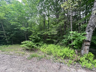 R13-023-B Hobbs Rd, Greenwood, ME 04255