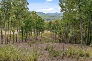 Lot 88 Split Creek Rd, Morganton, GA 30560
