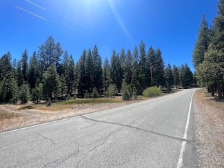 0 California Pines Blvd Unit 20986805, Alturas, CA 96101