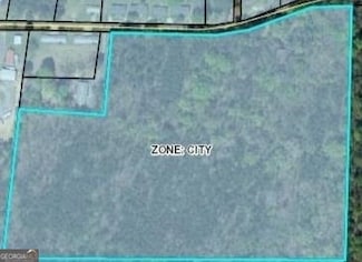 0 W Tyler St Unit 10403864, Talbotton, GA 31827