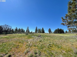 0 2 Lots On Pine St, Bickleton, WA 99322