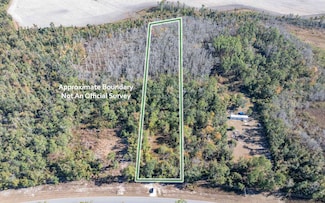 TBD NW Cr 141, Jennings, FL 32053