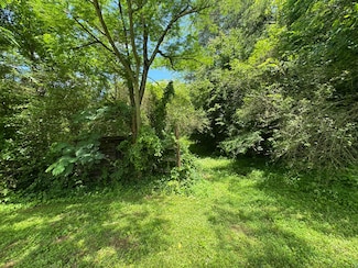 3406 Bogard Rd, Cosby, TN 37722