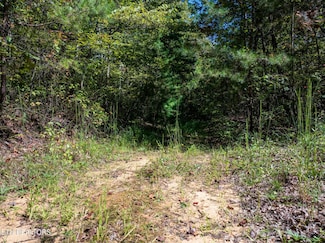 0 Tiffany Ln Unit 1316602, Jamestown, TN 38556