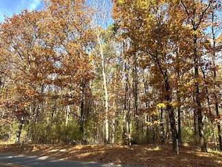 VL Burroughs St NE, Vergennes Township, MI 49331