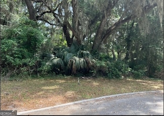 0 Wagner Ln Unit 10565245, St. Marys, GA 31558