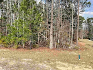 491 Trestle Way, Conway, SC 29526