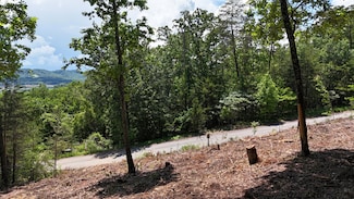 Lot 42 Bayside Blvd, Bean Station, TN 37708