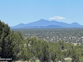 8834 Northstar Rd, Valle, AZ 86046