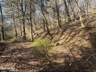 0 Melick Hollow Rd, Bloomsburg, PA 17815