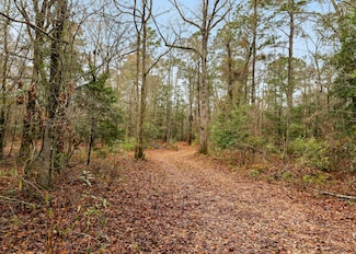 0 Santee River Rd Unit 25004041, Saint Stephen, SC 29479