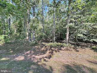 Lot 1976 Mayflower Dr, Greenbackvile, VA 23356