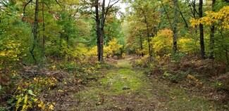 0 Yonker Rd, Free Soil, MI 49411