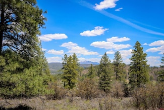 1025 Bob's Place, Pagosa Springs, CO 81147