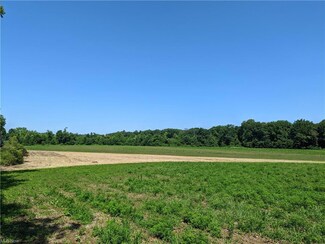 0 Bright Baldwin, Newton Falls, OH 44444