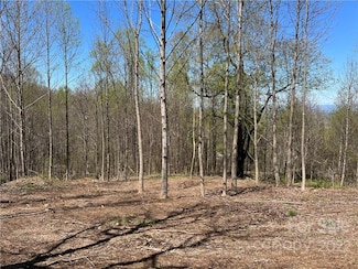 153 View Ridge Pkwy Unit 66, Leicester, NC 28748