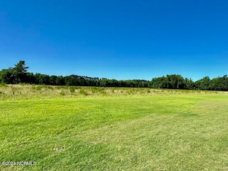 146 Cherry St, Cerro Gordo, NC 28430