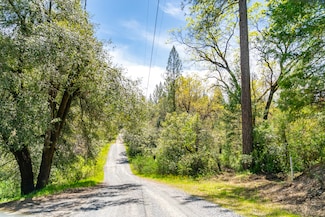 3291 Stage Trail Rd, Greenwood, CA 95635