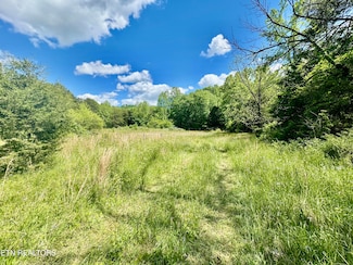 0 E Bullrun Valley Dr, Heiskell, TN 37754