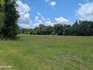 0 Gray Ln, Campbellton, FL 32426