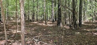 0 Sunset Rd Unit 1513109, Spencer, TN 38585