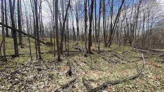 Lot 292-293 Jaeger Strasse, Kearney Township, MI 49615