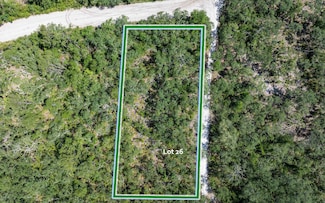 TBD Hickory Ln, Live Oak, FL 32060