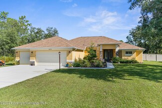 10473 Spalding St, Weeki Wachee, FL 34614