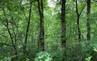 50 Eagles View Cir, Hayesville, NC 28904