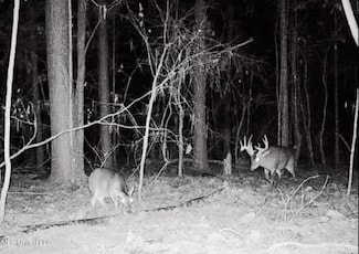 0 Highway 80 W Unit MS 39074 24476390, Forest, MS 39074