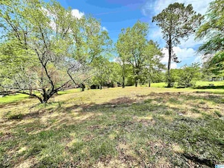 558 Michigan Ave, Thorsby, AL 35171