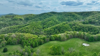 Tbd Chestnut Flats Rd Unit Road, Lewisburg, WV 24901