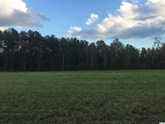 Lot 4 Broken Branch Rd, Johnsonville, SC 29555