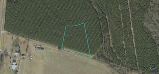Lot 28 Evergreen Dr, Cochran, GA 31014
