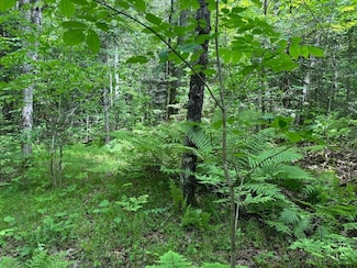On Cth Ff Unit 1.5 Acres, Mercer, WI 54547
