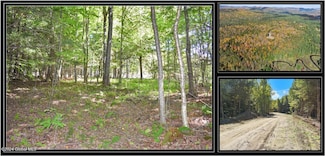86 Carriage Knoll Rd, Chester, NY 12817