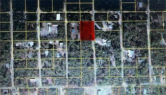 TBD N East 158th Ct, Fort Mc Coy, FL 32134