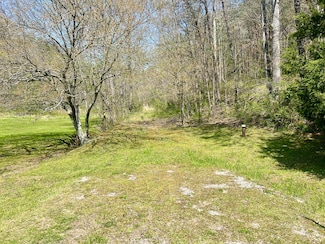 341 Paynes Creek Rd, Hinkle, KY 40953