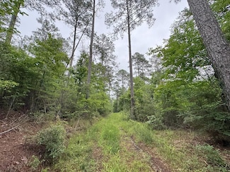 00 U S 84, Natchez, MS 39120