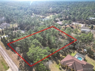 6054 N Rosewood Dr, Pine Ridge, FL 34465
