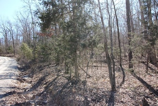 001-00174-001 Marion County 6070, Flippin, AR 72634