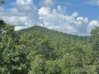 999 Ivy Ln, Pisgah Forest, NC 28768
