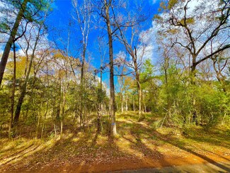 23456 Sweetgum Dr, Hockley, TX 77447