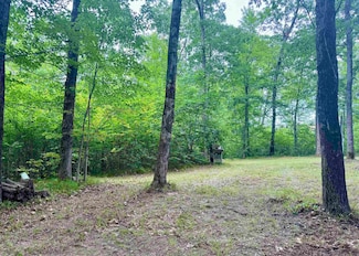 3260 Tice Trail, Lincoln Township, MI 48625