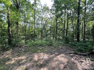 0 Lakeview, Lost Creek Township, MO 63966