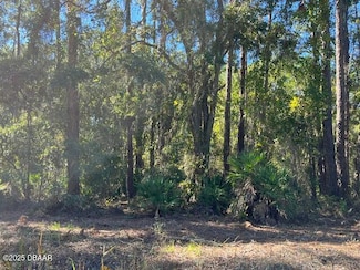 431 Palm Way, Georgetown Cove, FL 32139
